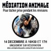 [Atelier] Médiation animale à la BU Santé 