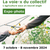Affiche de l'exposition "La voie-x du collectif"
