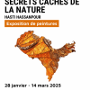 Affiche exposition