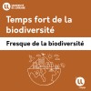 fresque la biodiversité
