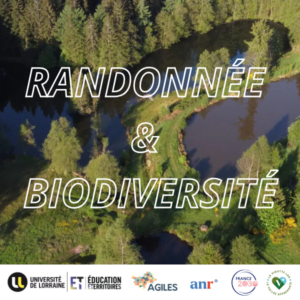 Vers l'article [Sortie] Randonnée et biodiversité
