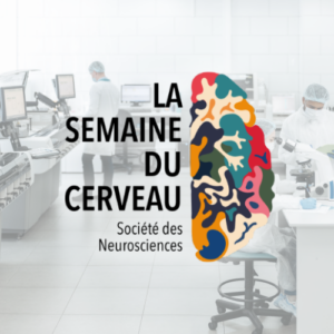 Vers l'article Semaine du Cerveau 2025 en Lorraine : un voyage au cœur des neurosciences
