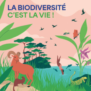 Vers l'article [Exposition] La biodiversité c'est la vie !