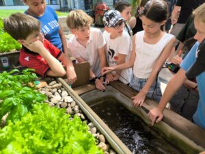 Vers l'article Journée de l’aquaponie sur le campus Bridoux !