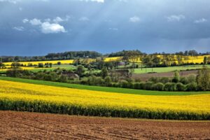 Vers l'article L’enjeu pour la biodiversité du changement d’échelle des recherches en agroécologie