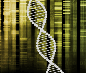 Vers l'article [Projection-débat] Gattaca VOSTFR