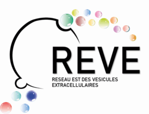 Vers l'article Le REVE où comment dépoussiérer les workshops