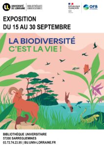 Vers l'article [Exposition] La Biodiversité c’est la vie !