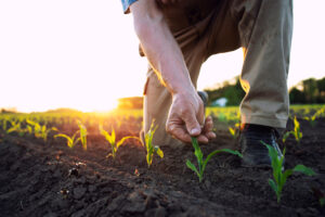 Vers l'article Agriculture : des formations digitales libres et gratuites