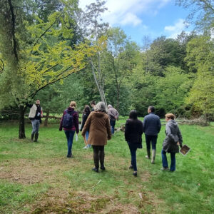 Vers l'article [VISITES GUIDÉES] L’Arboretum ouvre ses portes !