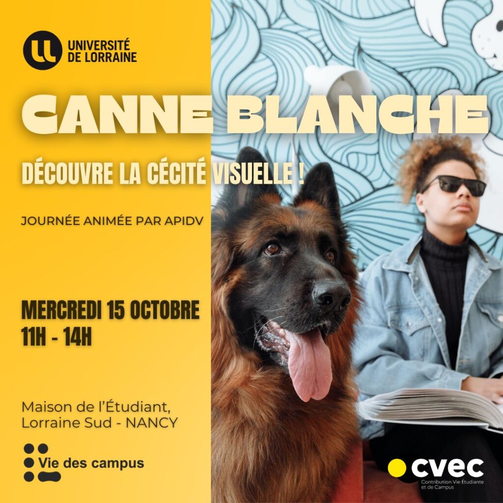 CANNE BLANCHE