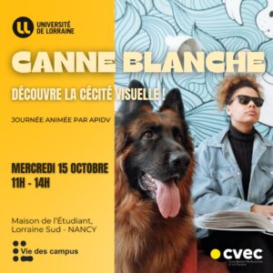 Vers l'article CANNE BLANCHE