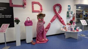 Vers l'article Les BU voient rose en ce mois d’octobre !