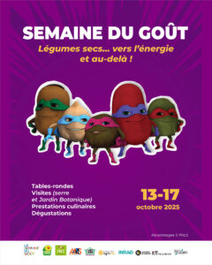 Vers l'article Semaine du goût à l’IUT Nancy-Brabois