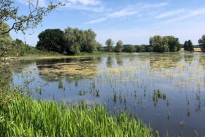 Vers l'article [TCF] Les fantômes des pesticides hantent nos environnements pour longtemps