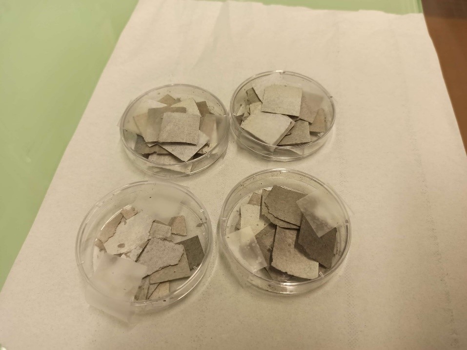 Graphite fluoré