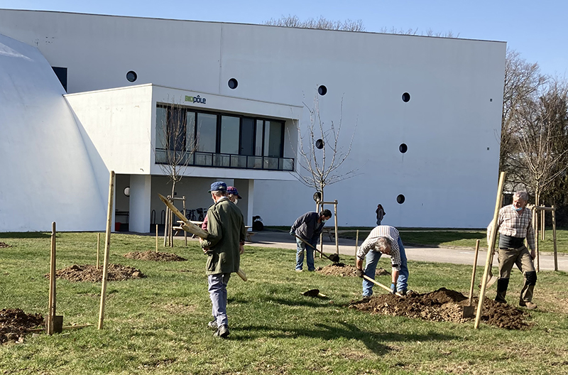 Plantation du verger du campus Brabois Santé