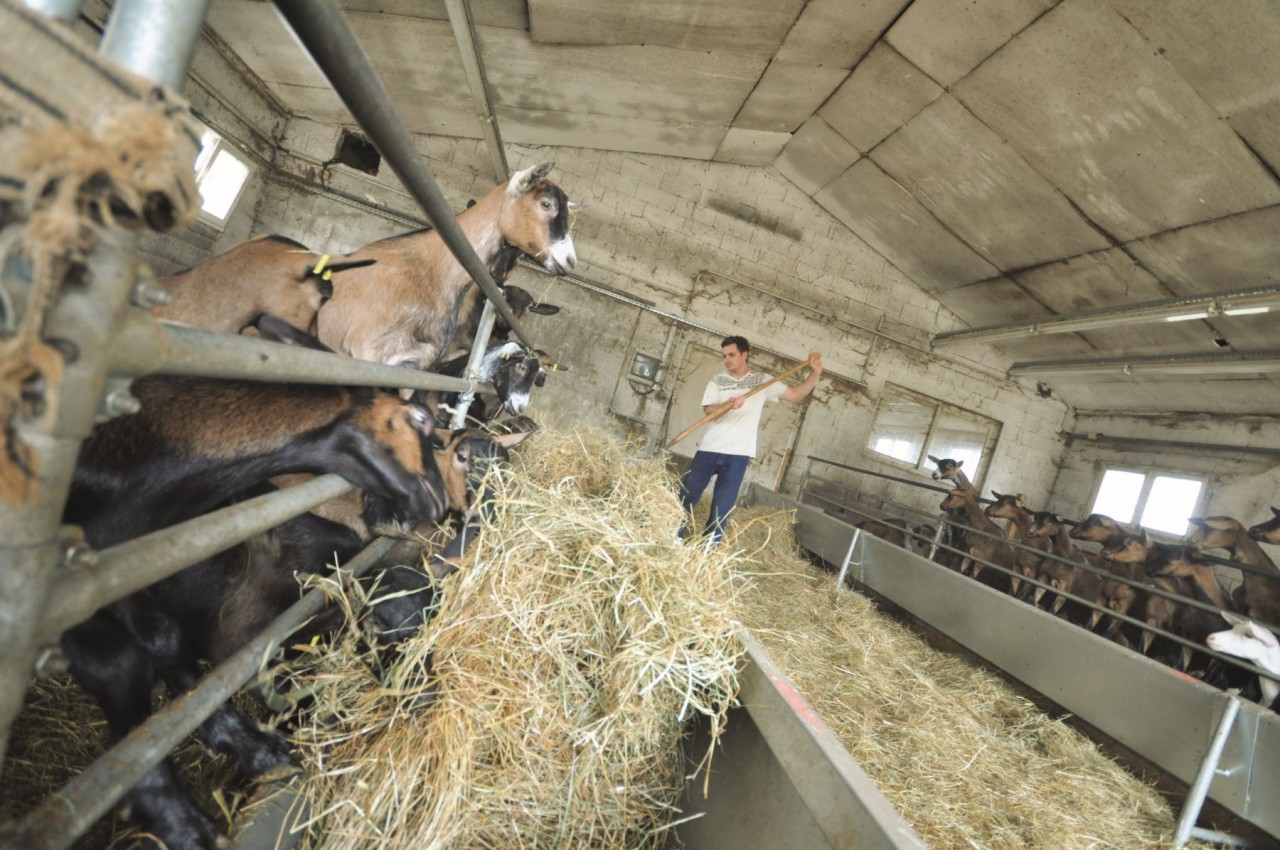 Ferme de la Bouzule, ENSAIA, Université de Lorraine