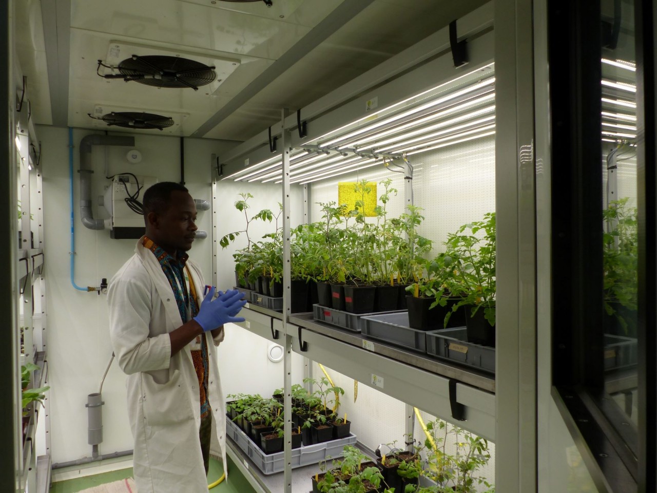 Laboratoire Phytotron, Université de Lorraine